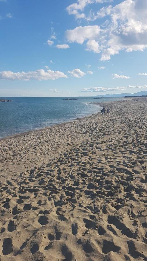 Cap Coudalere Le Barcarès Exterior foto